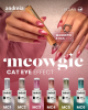 ANDREIA MAGNET POUR CAT EYES