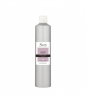 SECRET PRO LAQUE PROFESSIONELLE 250 ml