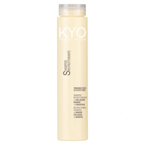 KYO SHAMPOING DIFFERENT SOIN 250ml