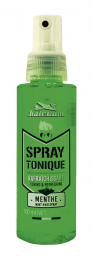 HAIRGUM SPRAY TONIQUE MENTHE RAFRAICHISSANT 100ml