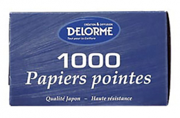 PAPIER POINTE DELORME x1000